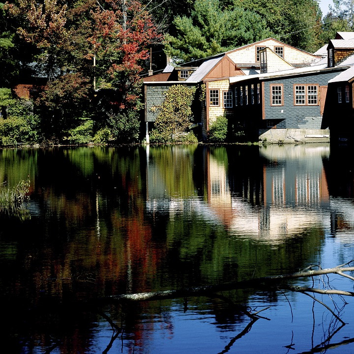 forester measuring tree